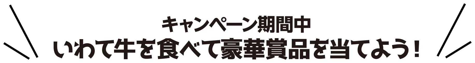 キャンペーンにご応募いただいた方の中から抽選で以下の景品をプレゼント！